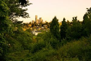 Explore the Mt. Baker Neighborhood Tour, where a stunning city skyline rises in the distance, framed by lush green trees and foliage in the foreground. This charming view offers a glimpse into the harmonious blend of urban and natural beauty.