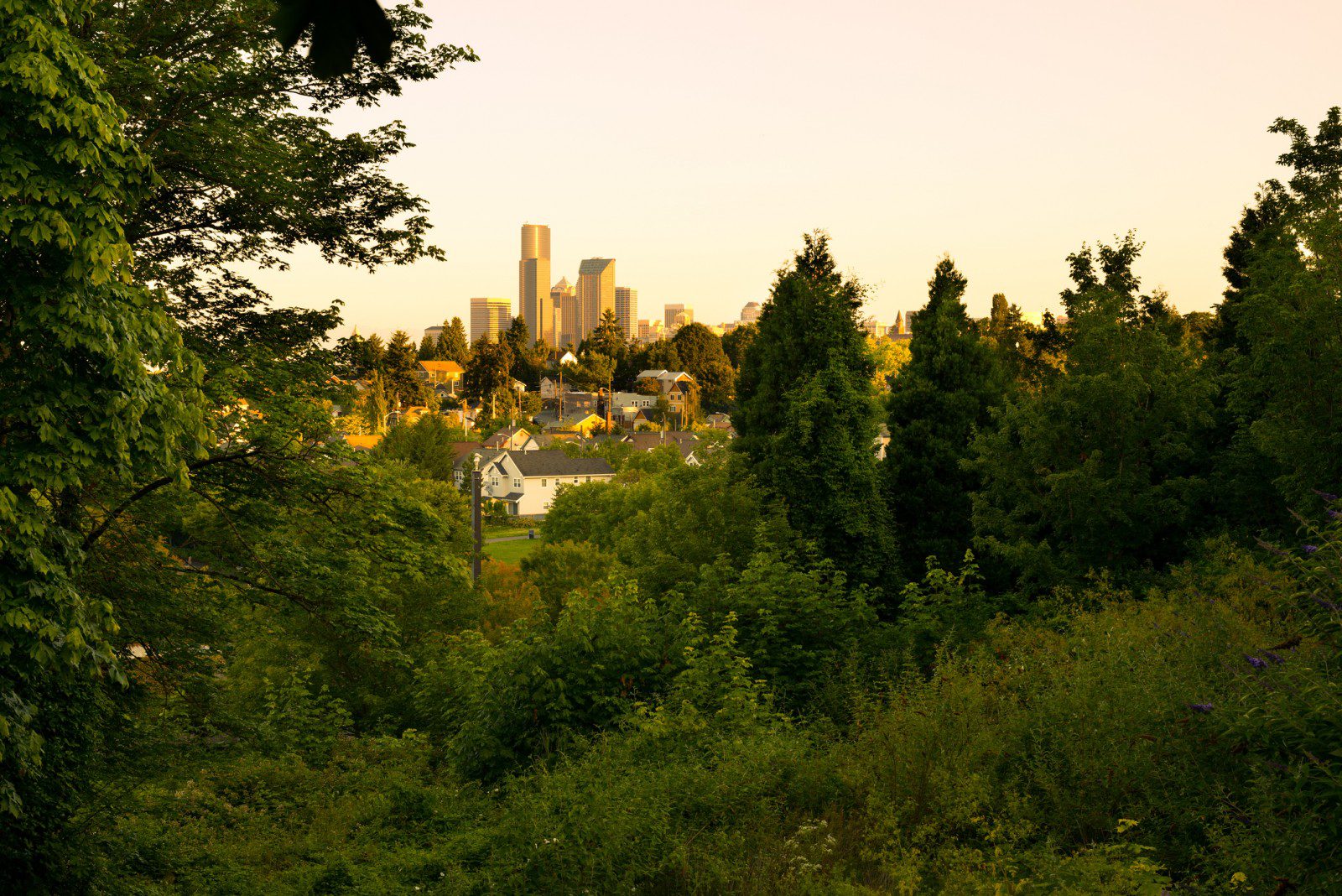 Mt Baker From Seattle