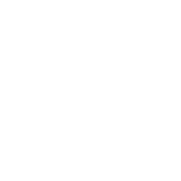heart (3)