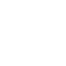 leadership